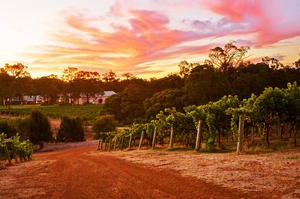 The Clairault winery in Margaret River. Photo / Supplied