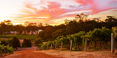 The Clairault winery in Margaret River. Photo / Supplied