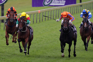 Burgundy (second from right) beats St Yazin in the Coolmore Australia Mr Tiz Trophy at Ellerslie on Saturday. Photo / Sarah Ivey