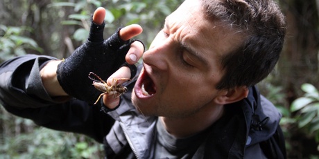 Bear Grylls eating a weta in New Zealand. Photo / Supplied