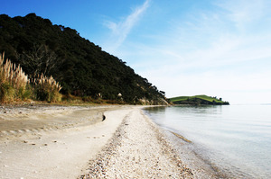 Waipiro Bay/Te Rau Puriri in the South Kaipara Peninsula is as remote as you can get. Photo / ARC