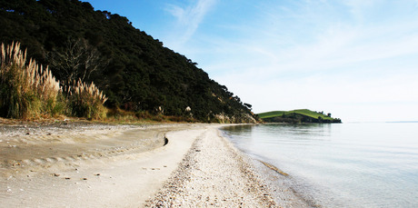 Waipiro Bay/Te Rau Puriri in the South Kaipara Peninsula is as remote as you can get. Photo / ARC
