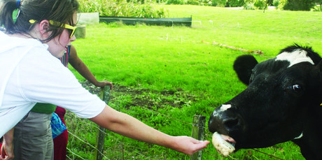 The Federated Farmers' Farm Day allows city folk a taste of rural life. Photo / Supplied