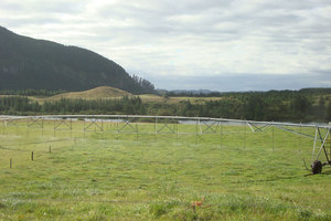 Are global institutional investors on the prowl for farms around the world? File photo / NZ Herald