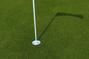 Approximately 80 caddies are needed for the NZ PGA Pro-Am Championship. Photo / Getty Images