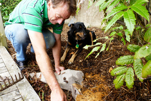 Chemical warfare should be a last resort for clearing out weeds. Other 'greener' methods are more effective. Photo / Meg Liptrot