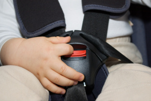 Photo / Thinkstock