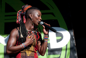 Dobet Gnahore and her band played with a rare passion and she was the talking point of the festival. Photo / Michael Flynn