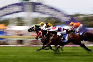 Knight's Tour ridden by James McDonald (behind) crosses the finish line. Photo / Sarah Ivey