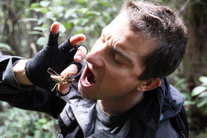 Bear Grylls is already plotting his comeback, just days after being axed from the show Man vs Wild. Photo / Supplied