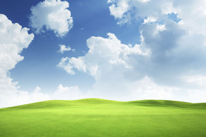 After years of being the coming thing, cloud computing has truly arrived. Photo / Thinkstock