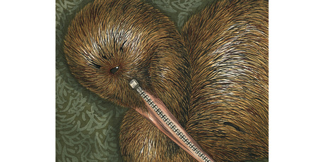 What, ask for a bigger share? Sorry, but that just isn't the Kiwi way of doing things. Illustration / Anna Crichton