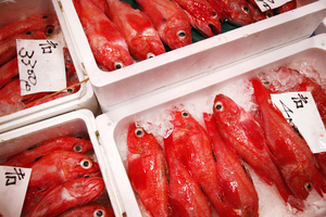 Tokyo's bustling Tsukiji fish market is one of the best places to scratch the surface of Japanese life. Photo / Thinkstock