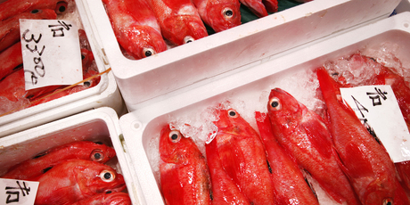 Tokyo's bustling Tsukiji fish market is one of the best places to scratch the surface of Japanese life. Photo / Thinkstock