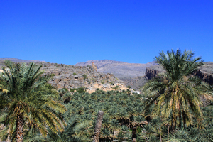 The Omani village of Misfat Al Abriyyin, blessed by cool, crisp, mountain water, lives up to its reputation as paradise. Photo / Jim Eagles