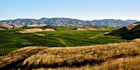 The Tiki vineyards in Marlborough, Waipara and Gibbston Valley, are farmed under the Maori principles of Kaitiakitanga - guardianship, protection and preservation of the land. Photo / Thinkstock
