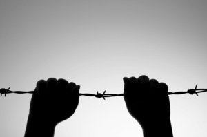 'Declaring a commitment to freedom is not 'treason' in my language', says Maire Leadbeater. Photo / Thinkstock.