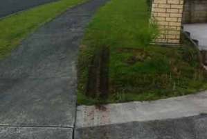 Tyre marks left on the lawn by delivery men. Photo / Supplied