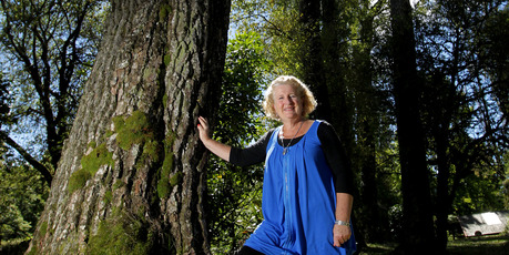 Buried Village owner Pam McGrath has farewelled the stand of 126-year-old trees at the Rotorua tourist attraction. Photo / Alan Gibson.