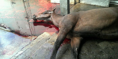The image that caused an outcry from the public. Photo / Supplied, Facebook