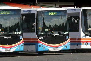 Auckland's Northern Busway is being hailed in a Transport Agency report as a major growth stimulant for the central business district. Photo / Brett Phibbs