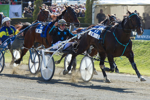 Monkey King, driven by Ricky May, wins the New Zealand Trotting Cup. Photo / Simon Baker