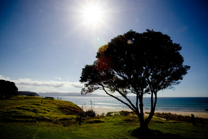 Tawharanui Regional Park marine and bird sanctuary. Photo / APN