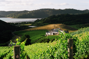 Destiny Bay, on Waiheke Island, is a small producer which feels threatened by bulk exports of New Zealand wine. Photo / Supplied