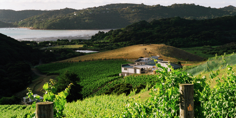 Destiny Bay, on Waiheke Island, is a small producer which feels threatened by bulk exports of New Zealand wine. Photo / Supplied