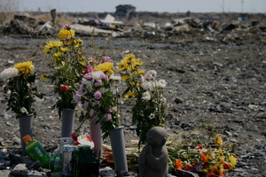 Flowers amid the rubble of Ishinomaki, one the areas hardest hit by the tsunami. Photo / Michael Dickison