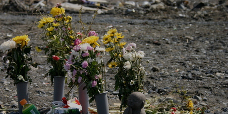 Flowers amid the rubble of Ishinomaki, one the areas hardest hit by the tsunami. Photo / Michael Dickison