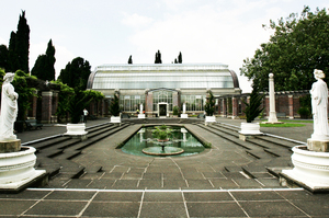 The Wintergardens, with its glasshouses and formal courtyard, is charming with a mix of melancholy. Photo / Janna Dixon