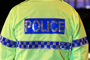 Minor offences could prevent immigrants to remain in the country. Photo / APN