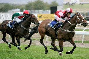 Sir Slick (right) won $2 million in prize money, most of it in New Zealand. Photo / Tim Hales