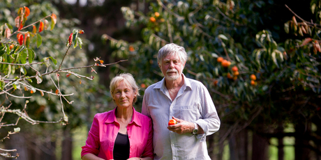 Norrie and John Pearce are selling their farm at South Head near Helensville. Photo / Dean Purcell