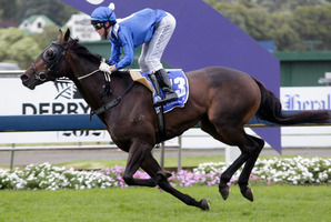 Bead Of Courage is a sound each-way prospect at Pukekohe today. Photo / Richard Robinson
