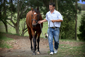 John Bary is happy with the progress of stable star Jimmy Choux. Photo / Natalie Slade