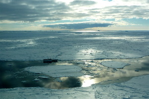 The Russian fishing vessel Sparta, which hit an iceberg in the Ross Sea and damaged its hull, was trawling for toothfish.
Photo / NZ Defence Force