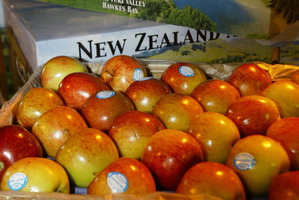 File photo / NZ Herald