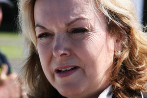 Minister Judith Collins. Photo / Supplied