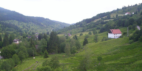 A typical landscape in the Massif de Vosges, France. Photo / Creative Commons image from Wikimedia