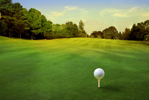 Golfers need not spoil a good walk by hauling a trundler - robot caddies are now available. Photo / Thinkstock