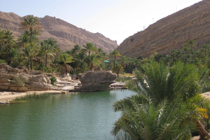 Palm-fringed Wadi Bani Khalid is a great place for a refreshing desert dip. Photo / Jill Worrall