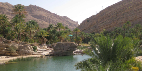 Palm-fringed Wadi Bani Khalid is a great place for a refreshing desert dip. Photo / Jill Worrall