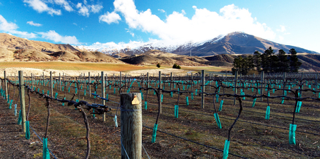The upside of Central Otago: stunning views and soils delivering mineral richness. Downside: frost can be a problem, along with fierce winds racing between mountains and valleys. Photo / Thinkstock