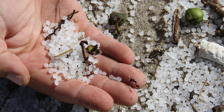 Plastic resin pellets (also known as nurdles or 'mermaids tears') have been washing up on east coast beaches. Photo / Maritime New Zealand