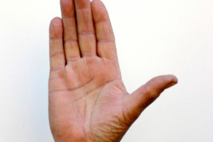Photo / Thinkstock