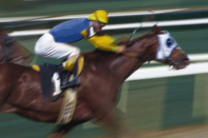 Bookies don't share Bary's doubts over Easter Mile victory. Photo / Thinkstock.