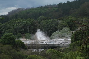 Te Puia's geysers send plumes of steam skyward. Photo / Eveline Harvey