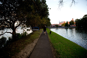 Waitemata Harbour and the Chelsea Estate Heritage Park by the Chelsea Sugar plant. Photo / Dean Purcell